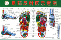 Massage Therapy College